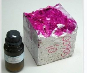 WhatsApp Image 2026-02-12 at 10.45.49